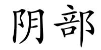 阴部的解释