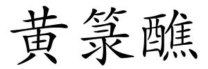 黄箓醮的解释