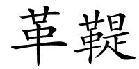 革鞮的解释