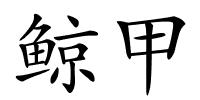 鲸甲的解释