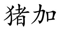 猪加的解释
