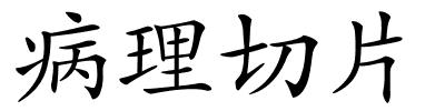 病理切片的解释