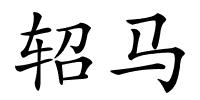 轺马的解释