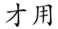 才用的解释