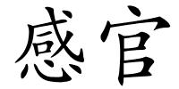 感官的解释