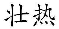 壮热的解释