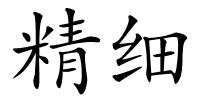 精细的解释