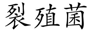 裂殖菌的解释