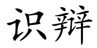 识辩的解释
