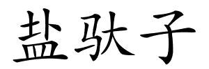 盐驮子的解释