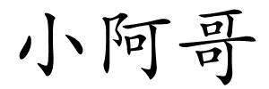 小阿哥的解释