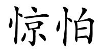 惊怕的解释