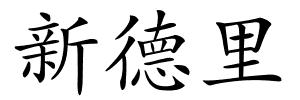 新德里的解释