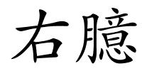 右臆的解释