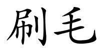 刷毛的解释