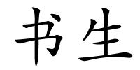 书生的解释