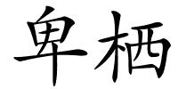 卑栖的解释