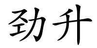 劲升的解释