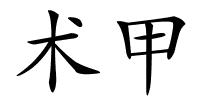术甲的解释