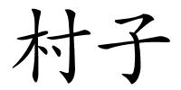 村子的解释