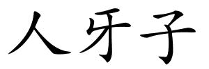 人牙子的解释