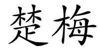 楚梅的解释