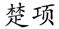 楚项的解释