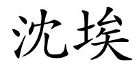 沈埃的解释