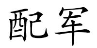 配军的解释