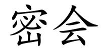 密会的解释