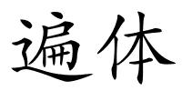 遍体的解释