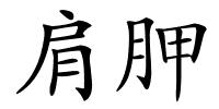 肩胛的解释