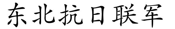 东北抗日联军的解释