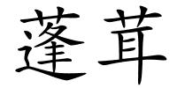 蓬茸的解释