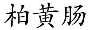 柏黄肠的解释
