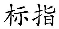 标指的解释