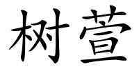 树萱的解释