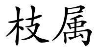 枝属的解释