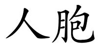 人胞的解释