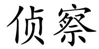 侦察的解释
