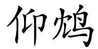 仰鸩的解释
