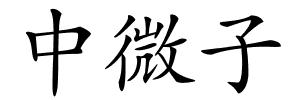 中微子的解释