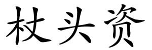 杖头资的解释
