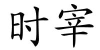 时宰的解释