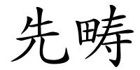 先畴的解释