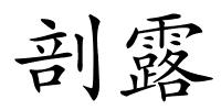 剖露的解释