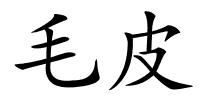 毛皮的解释