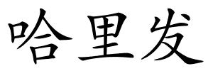 哈里发的解释