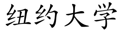 纽约大学的解释