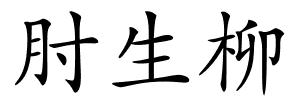 肘生柳的解释